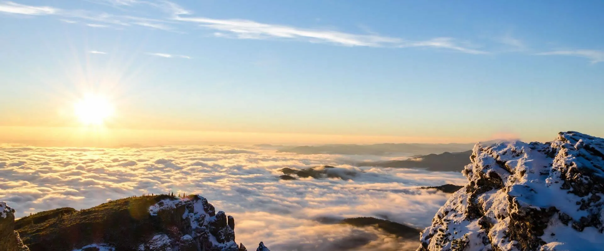 신뢰할 수 있는 구매 후 도움